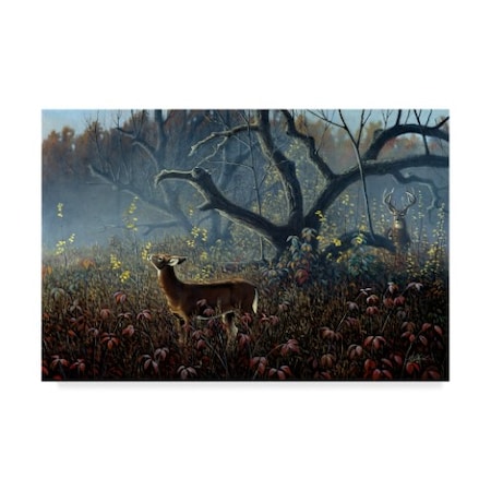 Wilhelm Goebel 'Old Orchard Whitetails' Canvas Art,16x24